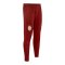 PUMA Galatasaray Istanbul Trainingshose Rot F01 - rot