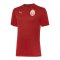 PUMA Galatasaray Istanbul Trainingsshirt Rot F01 - rot