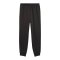 PUMA Galatasaray Istanbul KING Anthem Hose Grau F19 - grau