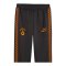 PUMA Galatasaray Istanbul KING Anthem Hose Grau F19 - grau