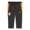 PUMA Galatasaray Istanbul pockets Trainingshose Grau F06 - grau
