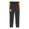 PUMA Galatasaray Istanbul pockets Trainingshose Grau F06 - grau