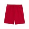 PUMA Galatasaray Istanbul Replica Short 2026/2027 Rot F01 - rot