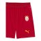 PUMA Galatasaray Istanbul Replica Short 2026/2027 Rot F01 - rot