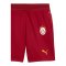 PUMA Galatasaray Istanbul Replica Short 2026/2027 Kids Rot F01 - rot