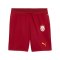 PUMA Galatasaray Istanbul Replica Short 2026/2027 Kids Rot F01 - rot