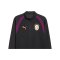 PUMA Galatasaray Istanbul Training 14 Zip Top Grau F05 - grau