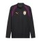PUMA Galatasaray Istanbul Training 14 Zip Top Grau F05 - grau
