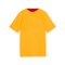 PUMA Galatasaray Istanbul Training Trikot Kids Orange F07 - orange
