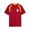 PUMA Galatasaray Istanbul Training Trikot Kids Rot F01 - rot