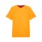 PUMA Galatasaray Istanbul Training Trikot Orange F07 - orange