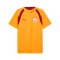 PUMA Galatasaray Istanbul Training Trikot Orange F07 - orange