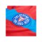 PUMA Holstein Kiel Trikot Away Rot F01 - rot