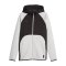 PUMA Hoops Team Dime Kapuzenjacke Grau F02 - grau