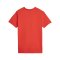 PUMA Hoops Team Drycell T-Shirt Rot F04 - rot