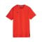 PUMA Hoops Team Drycell T-Shirt Rot F04 - rot
