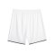 PUMA Hoops Team Game Short Weiss F02 - weiss