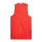 PUMA Hoops Team Game Trikot Kids Rot F04 - rot