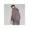 PUMA Hoops Team Hoody Grau F02 - grau