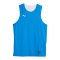 PUMA Hoops Team Reverse Trikot Blau F05 - blau
