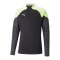 PUMA individualCUP HalfZip Sweatshirt Top F51 - schwarz