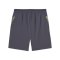 PUMA individualCUP Short Grau F08 - grau