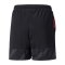 PUMA individualCUP Short Kids Schwarz Pink F43 - schwarz