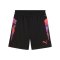 PUMA individualCUP Short Schwarz F07 - schwarz