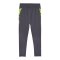 PUMA individualCUP Trainingshose Grau F08 - grau
