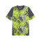 PUMA individualCUP Trikot Grau F08 - grau