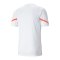 PUMA individualCUP Trikot Weiss Rot F41 - weiss
