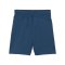 PUMA individualFINAL Short Kids Grün F56 - gruen