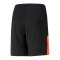 PUMA individualFINAL Fearless Short Schwarz F48 - schwarz