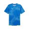 PUMA individualFINAL Trikot Blau F02 - blau