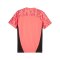 PUMA individualFINAL Trikot Rosa Gelb F57 - rosa