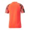 PUMA individualFINAL WC Trikot Blau F48 - blau