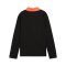 PUMA IndividualLIGA 1/4 Zip Sweatshirt Kids Schwarz F07 - schwarz