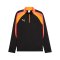 PUMA IndividualLIGA 1/4 Zip Sweatshirt Schwarz F07 - schwarz
