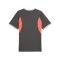 PUMA Individualliga Graphic Trikot Grau F10 - grau