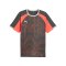 PUMA Individualliga Graphic Trikot Grau F10 - grau
