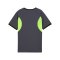 PUMA Trikot Kids Grau F08 - grau