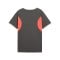 PUMA Individualliga Graphic Trikot Kids Grau F10 - grau