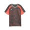PUMA Individualliga Graphic Trikot Kids Grau F10 - grau