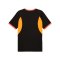 PUMA individualLIGA Graphic Trikot Schwarz F07 - schwarz