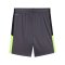 PUMA Short Kids Grau F08 - grau