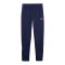 PUMA IndividualLIGA Trainingshose Kids Blau F01 - blau
