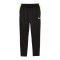 PUMA Trainingshose Schwarz F02 - schwarz