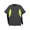 PUMA Trikot Grau F08 - grau