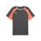 PUMA Individualliga Trikot Grau F10 - grau