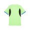 PUMA IndividualLiga Trikot Grün F02 - gruen